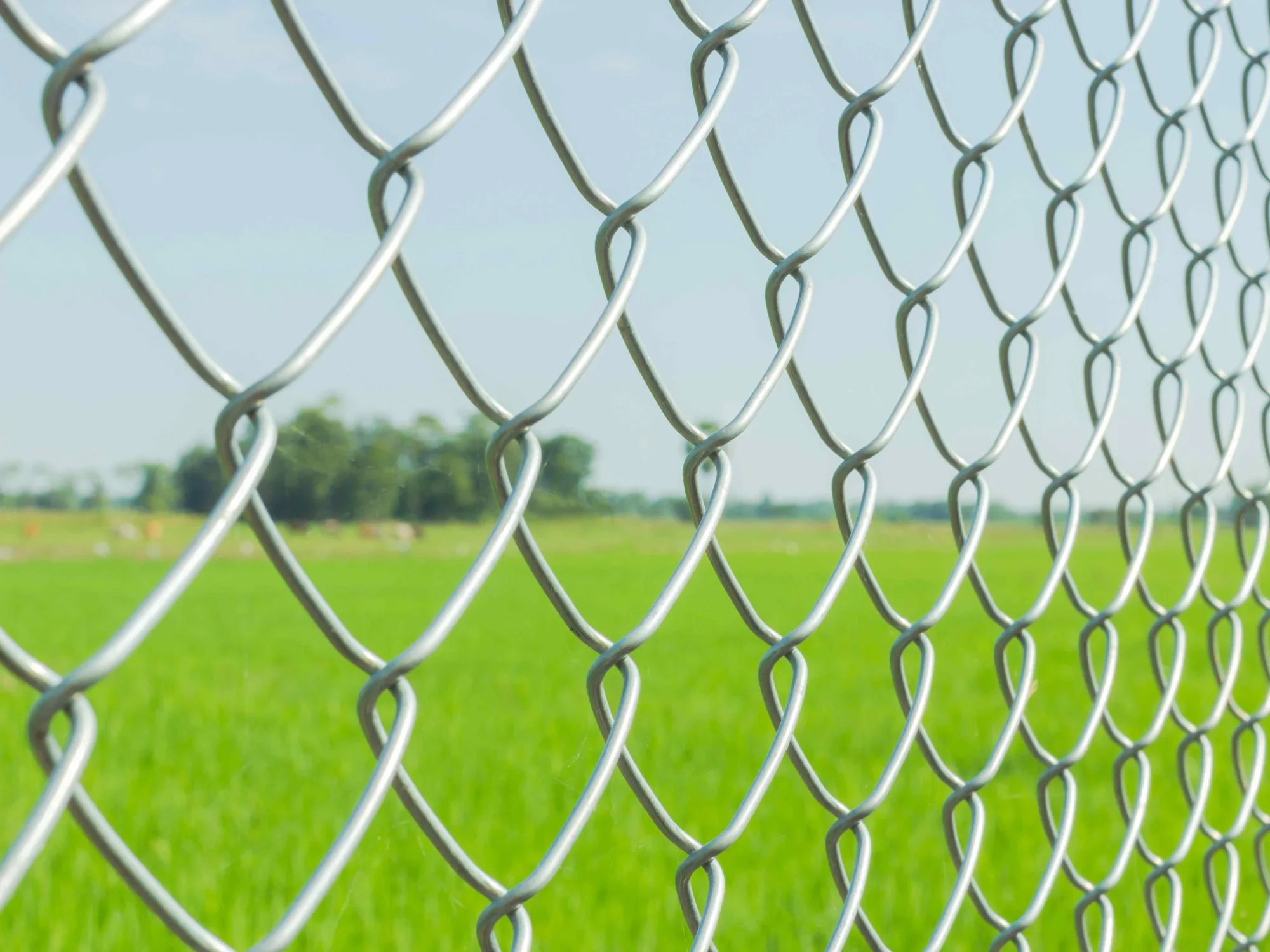 Chain Link fence solutions for the Rowesville, South Carolina area