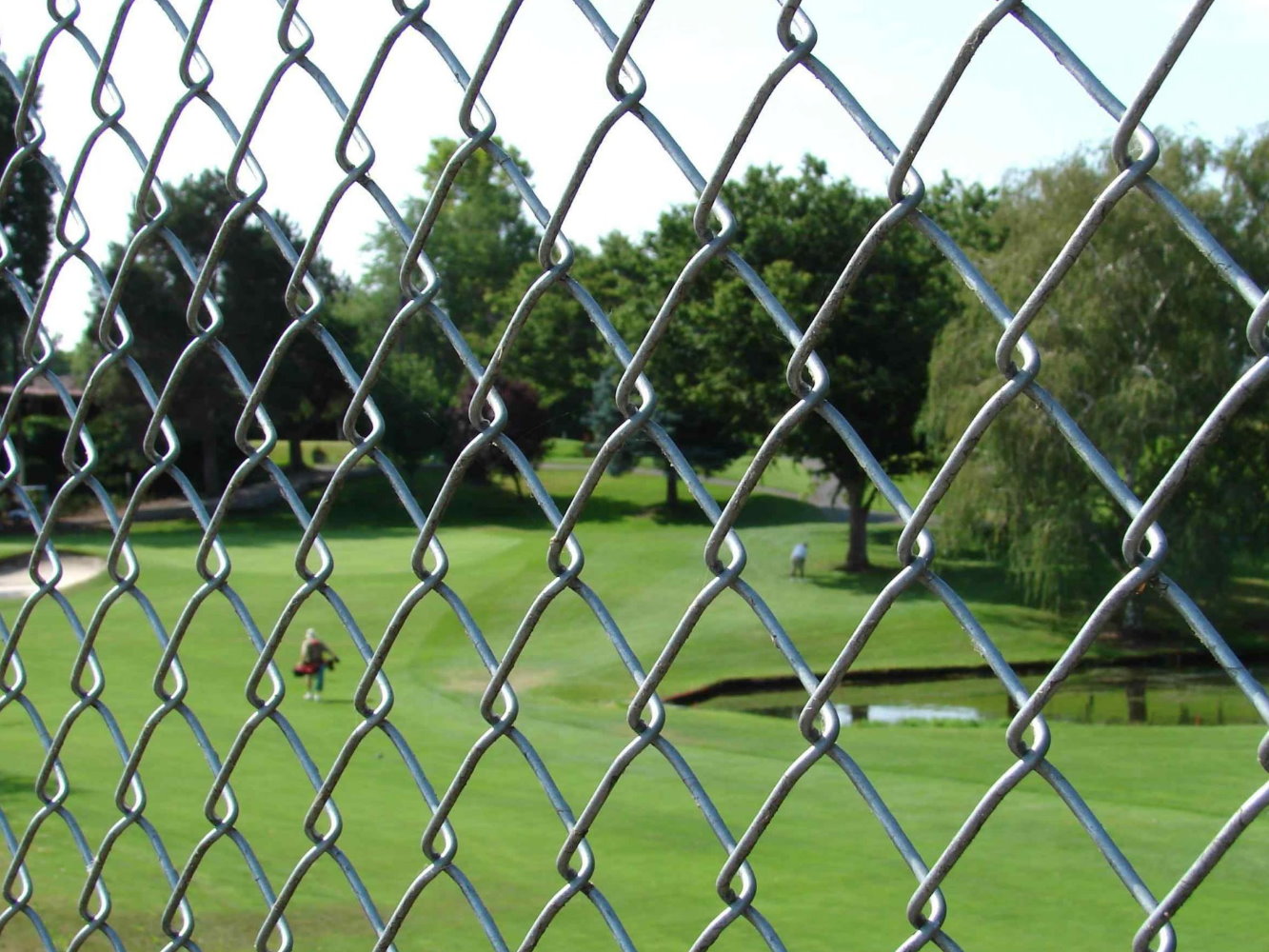chain link fence Bowman South Carolina