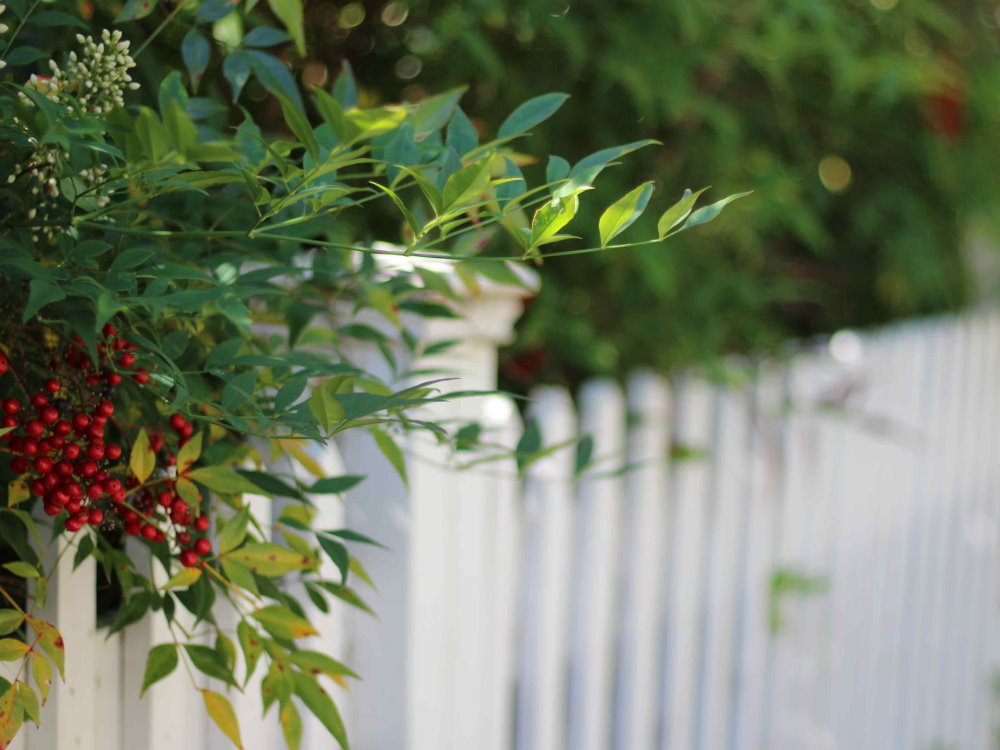 vinyl fence Cameron South Carolina